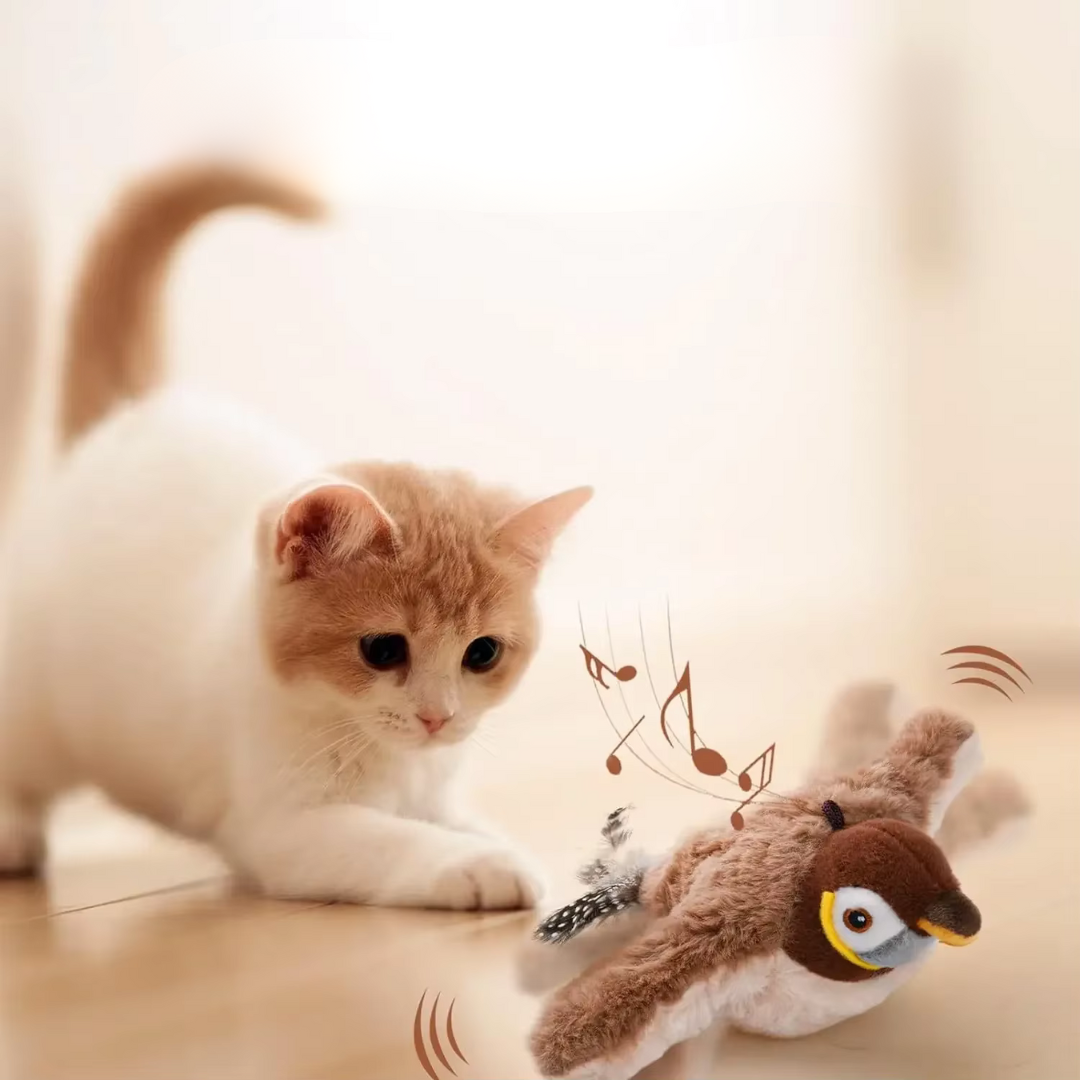 Interactive Cat Toys