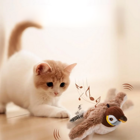 Interactive Cat Toys