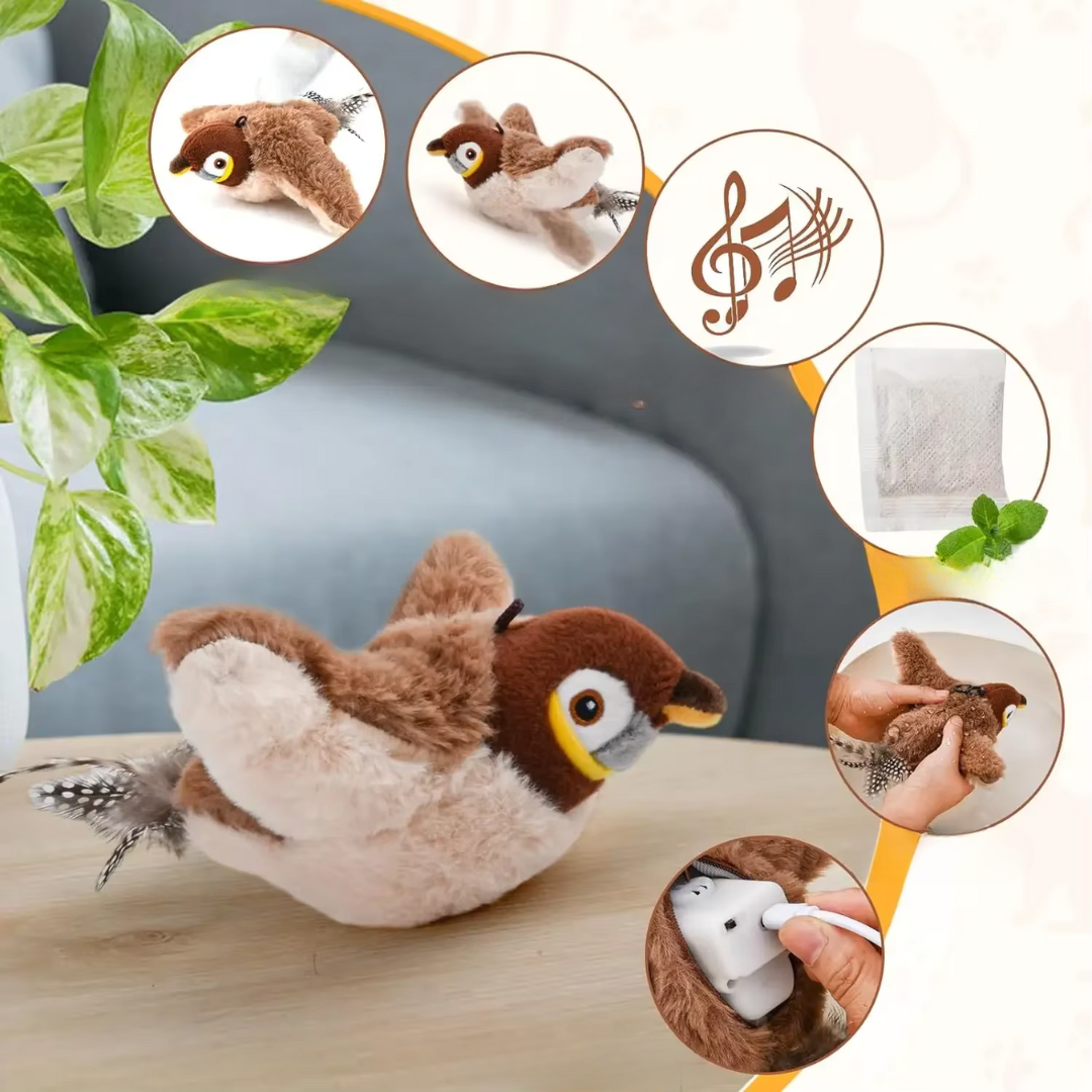 Interactive Cat Toys