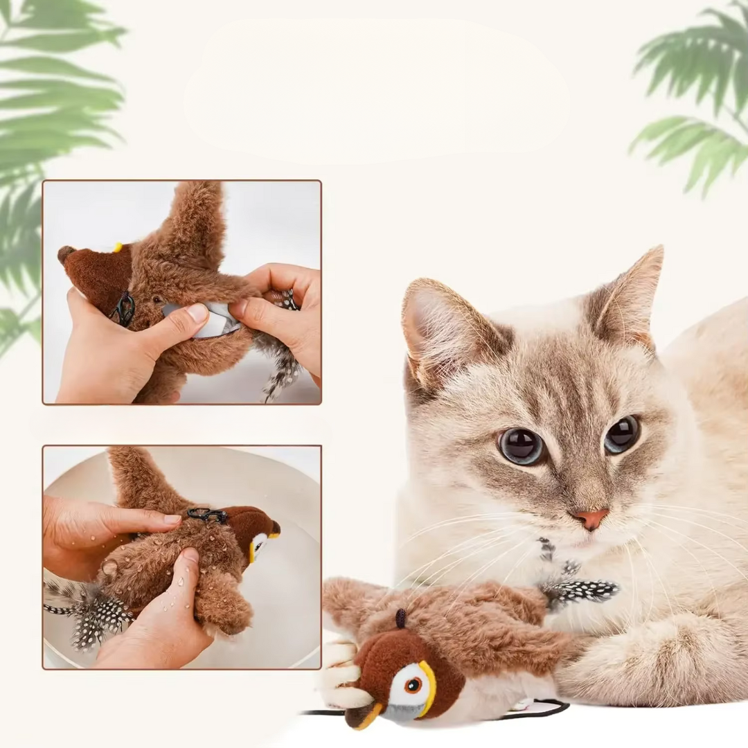 Interactive Cat Toys